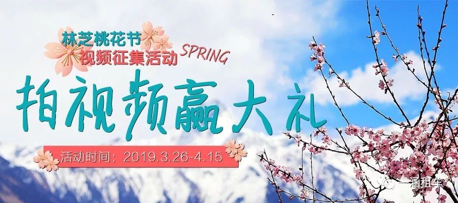 桃花節(jié)視頻征集活動(dòng)